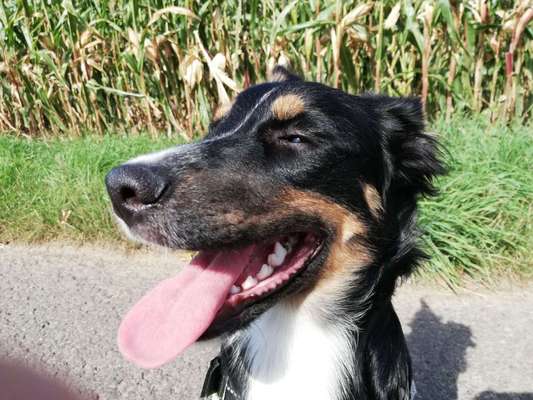 Fotochallenge Nr 50 Vom Winde verweht-Beitrag-Bild