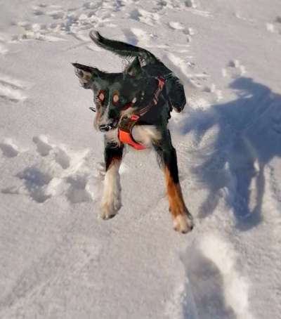 Fotochallenge Nr. 52 „Spring!“-Beitrag-Bild