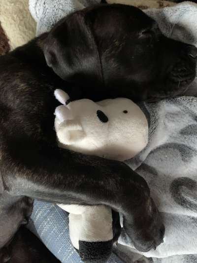 CHALLENGE NR. 34 - Liege-/Schlafpositionen-Beitrag-Bild