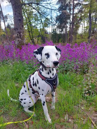 Foto Challenge Nr. 79-Beitrag-Bild