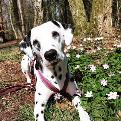 Fotochallenge 78

Es grünt und blüht-Beitrag-Bild