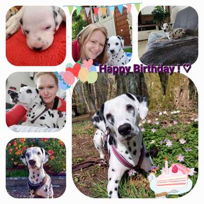 Sie werden so schnell groß!-Beitrag-Bild