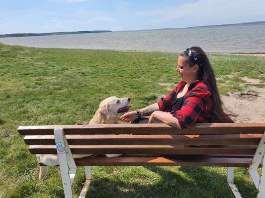 Challenge 33 - Du und dein Hund-Beitrag-Bild