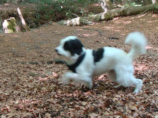 Un...scharf Bilder-Beitrag-Bild