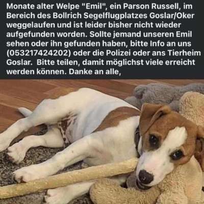 Suchmeldung-Emil-Bild