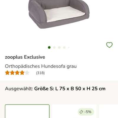 Orthopädische Hundebetten-Beitrag-Bild