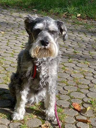 Häufige Vorurteile-Beitrag-Bild