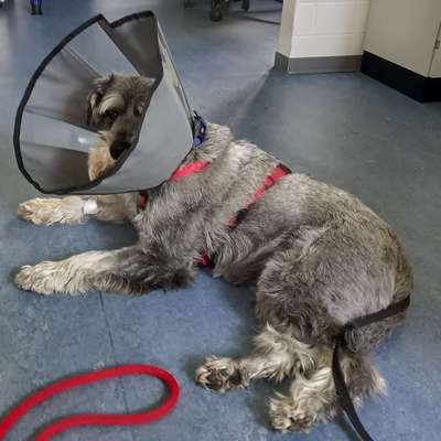 Rute aufgeschlagen-Beitrag-Bild