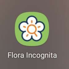 Dunkle Beeren-Beitrag-Bild