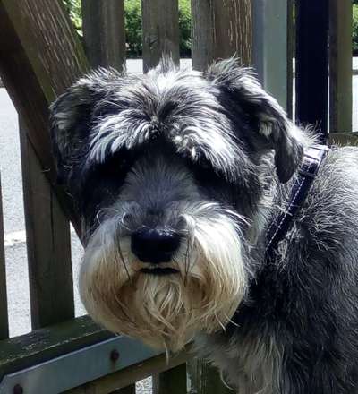 Häufige Vorurteile-Beitrag-Bild