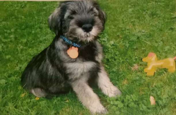 Häufige Vorurteile-Beitrag-Bild