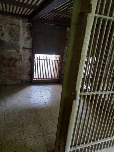 Was haltet ihr von Zoo's?-Beitrag-Bild