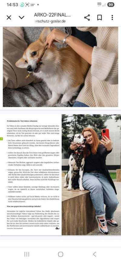 Qualzucht - Warum Aufklärung alleine nicht reicht-Beitrag-Bild