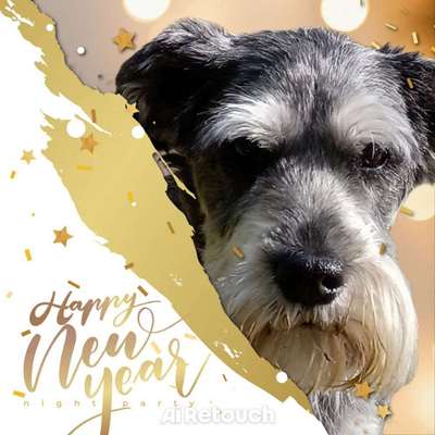 aktuelles Foto Gruppe Biete/suche Hundebetreuung