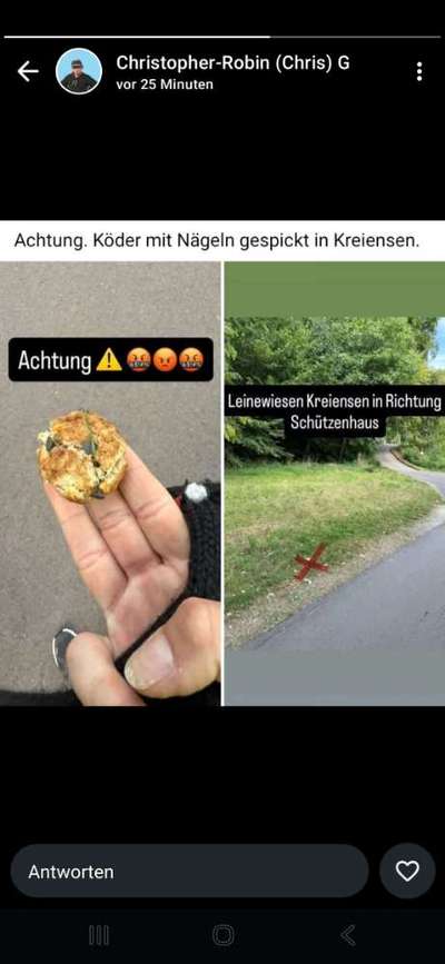 Giftköder-Köder mit Nägeln o.ä.-Bild