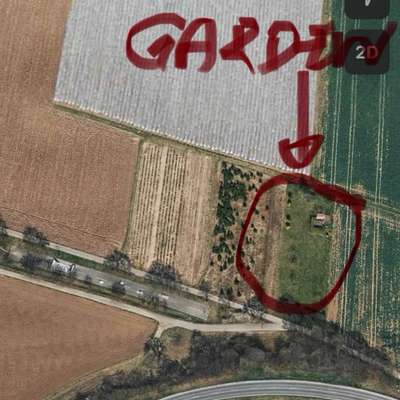 Giftköder-Vermutlich Giftköder-Bild