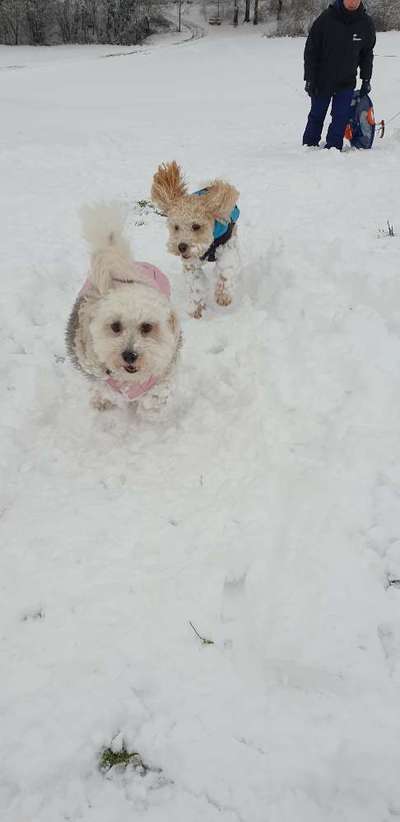 Zeigt euer coolstes winteroutfit-Beitrag-Bild