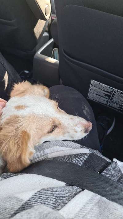 Erstes Bild-Beitrag-Bild