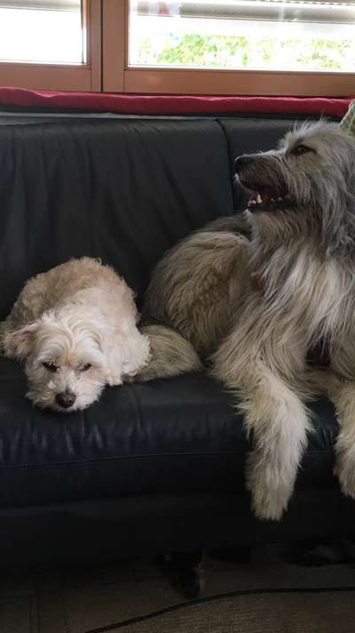 Lieblingsbild-Beitrag-Bild