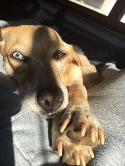 Fotochallange Nr. 57     PORTRÄT.   Beendet!!!!!!!!-Beitrag-Bild