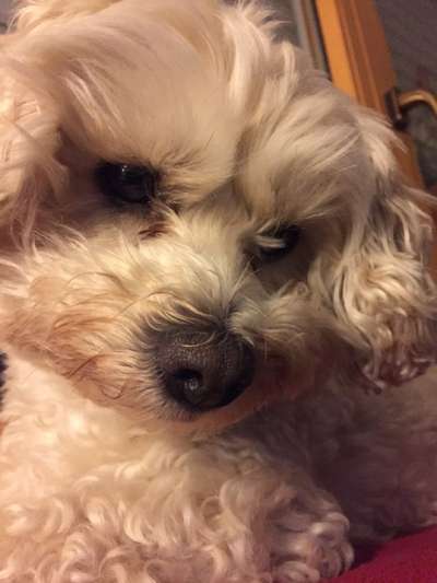 Fotochallange Nr. 57     PORTRÄT.   Beendet!!!!!!!!-Beitrag-Bild