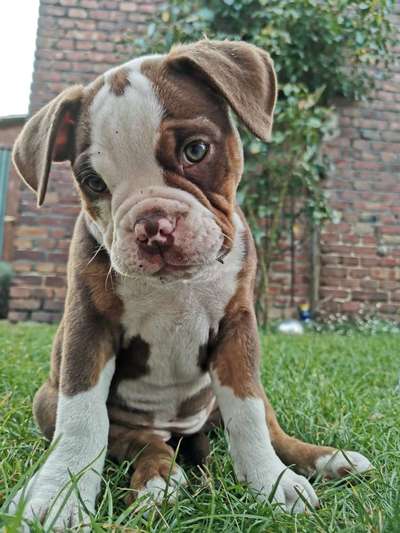 Blick fürs Detail!-Beitrag-Bild