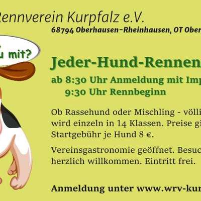 Hundetreffen-Jederhundrennen-Bild