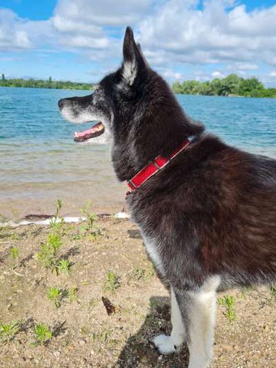 Lieblingsbild-Beitrag-Bild