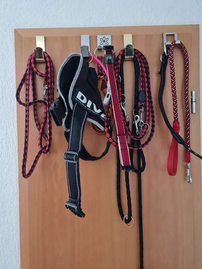 Eure Hundegarderobe/Hundewand/Hundebereich-Beitrag-Bild