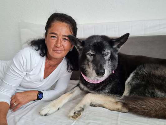 Regenbogenbrücke-Beitrag-Bild