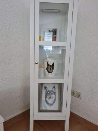 Regenbogenbrücke-Beitrag-Bild