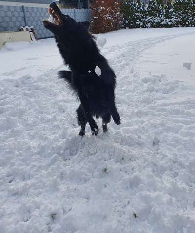 47. VIDEO Challenge ,,Luftsprünge"-Beitrag-Bild