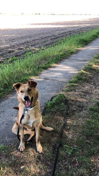 Challenge Nr. 10: "Das schönste Lächeln"-Beitrag-Bild