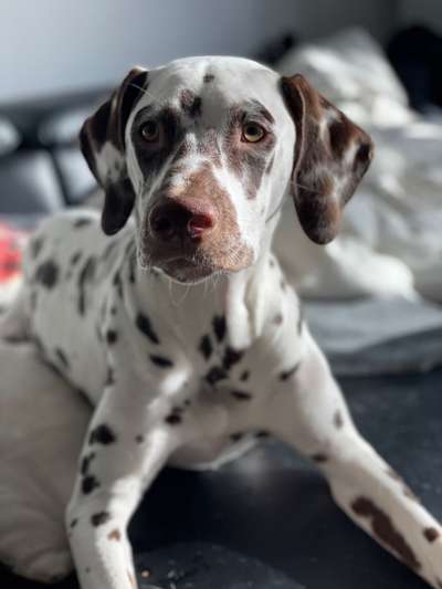 Fotochallange Nr. 57     PORTRÄT.   Beendet!!!!!!!!-Beitrag-Bild