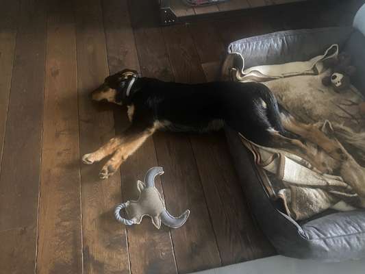 4. Lustiger Schlafplatz-Beitrag-Bild