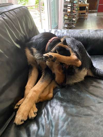 Lustige Grimassen & verrückte Posen-Beitrag-Bild