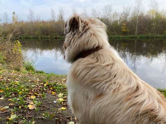 Herbst Bilder-Beitrag-Bild