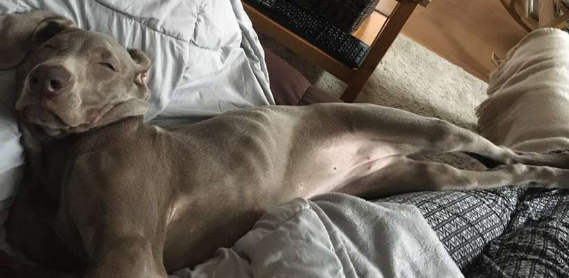 Die unbequemsten und lustigsten Schlafpositionen-Beitrag-Bild