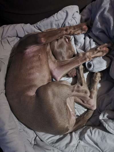 Die unbequemsten und lustigsten Schlafpositionen-Beitrag-Bild