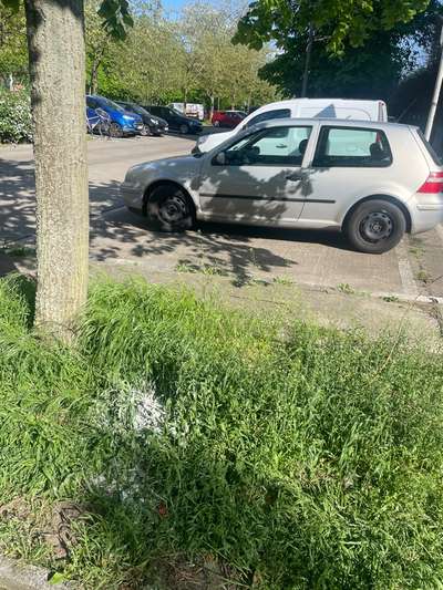 Giftköder-Weißes Pulver-Bild