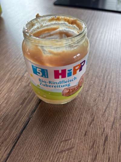 Angehendes Nierenversagen 2 Jähriger Rüde-Beitrag-Bild