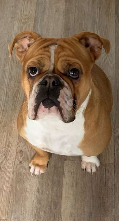 Conti Besitzer? :-)-Beitrag-Bild