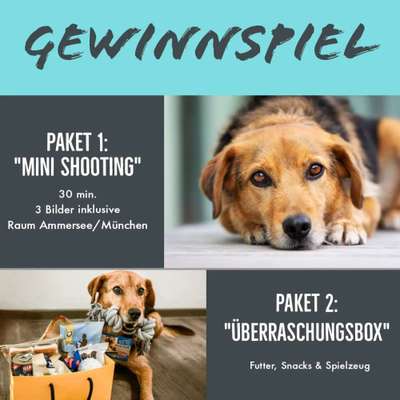 %{de_profession_title}-Instagram Gewinnspiel-Bild