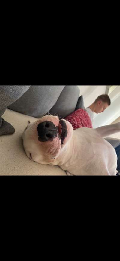 Challenge Nr. 10: "Das schönste Lächeln"-Beitrag-Bild