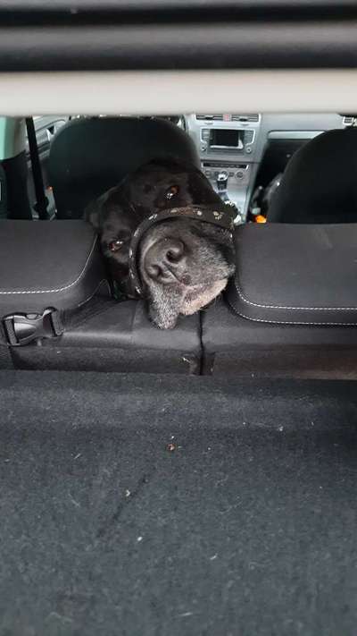 Lieblingsbild-Beitrag-Bild