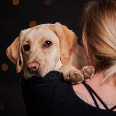 Hundetreffen-Spielen, Spaß haben + Lernen :)-Bild