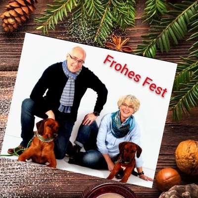 Rhodesian Ridgeback-Beitrag-Bild