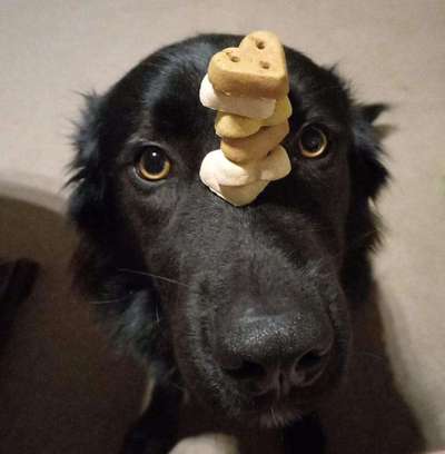 Fotochallange Nr. 57     PORTRÄT.   Beendet!!!!!!!!-Beitrag-Bild