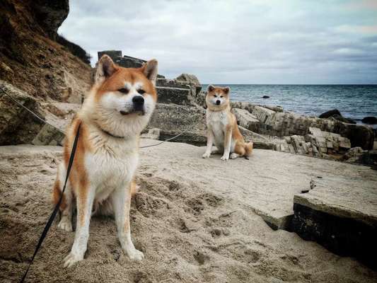 Eure Strandbilder :)-Beitrag-Bild