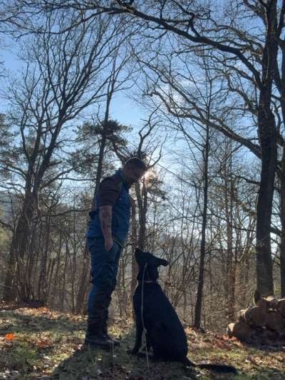 Hundetreffen-Wer begleitet uns ?-Bild